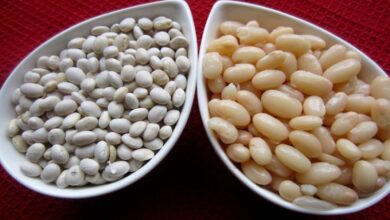 Photo of Eating more navy beans may help with colorectal cancer prevention